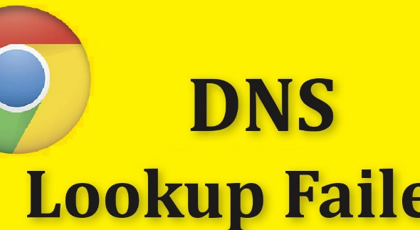 DNS lookup failed – what does it mean and how to fix?
